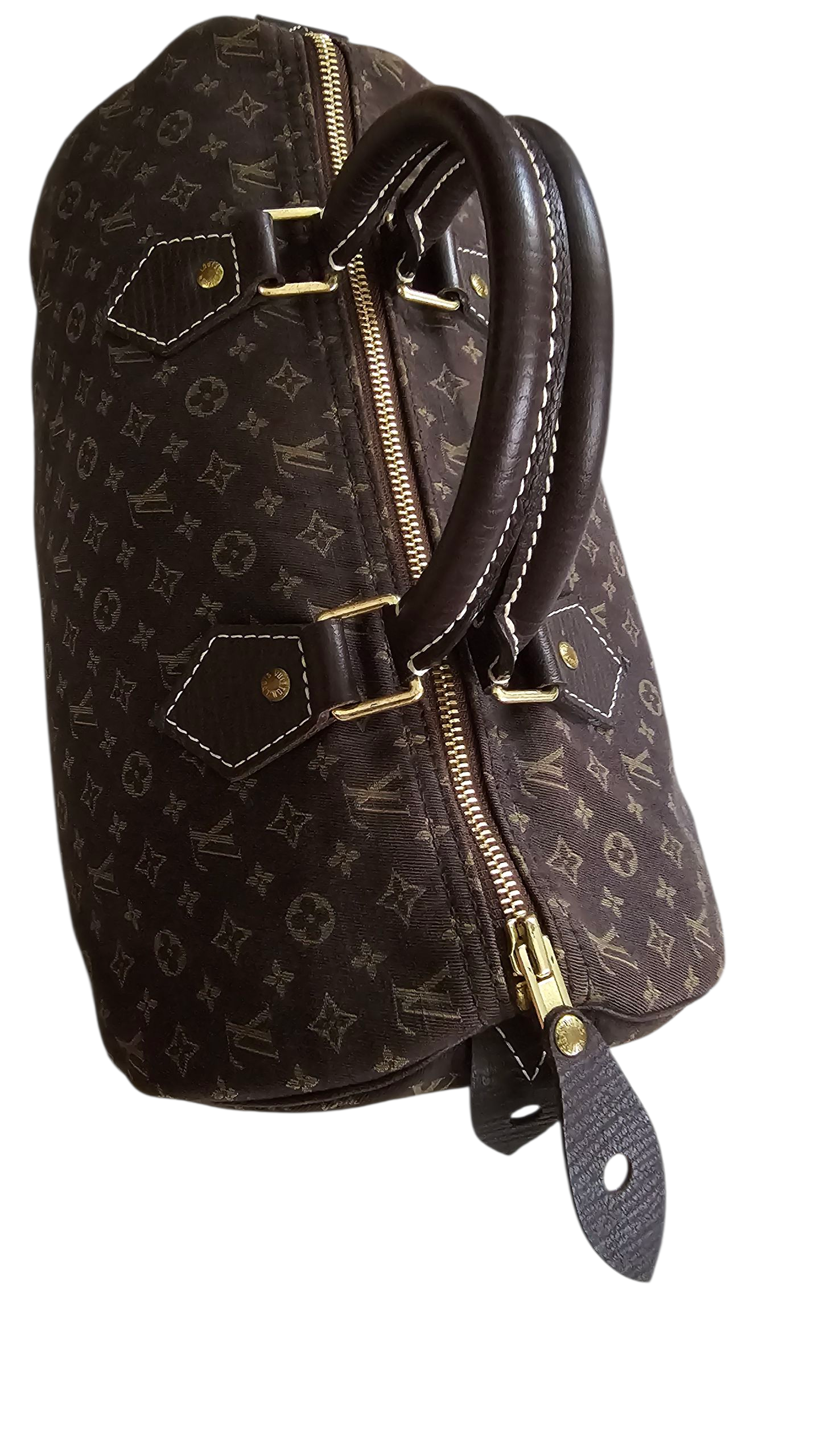 Louis Vuitton Mini Lin Speedy 30 Limited Edition