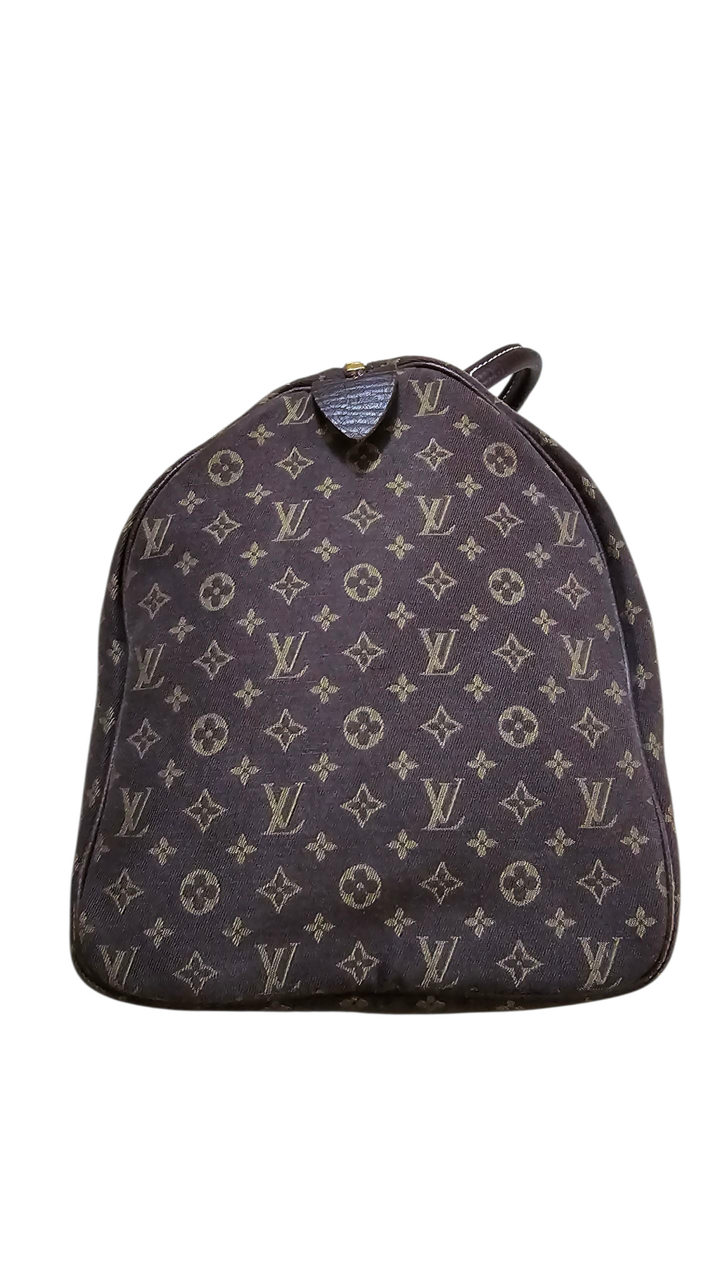Louis Vuitton Mini Lin Speedy 30 Limited Edition