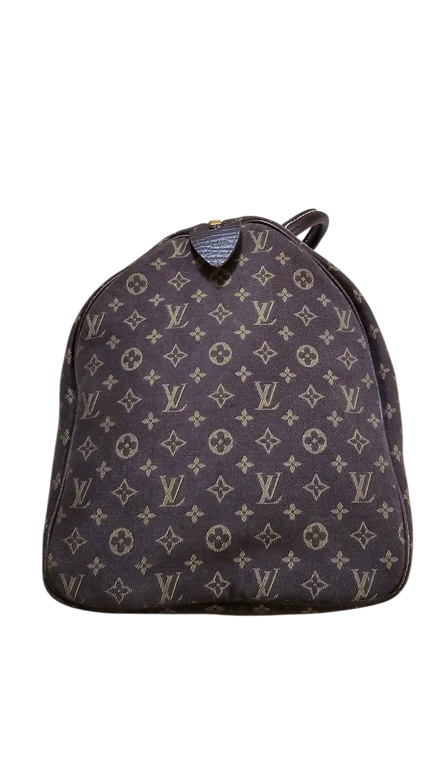 Louis Vuitton Mini Lin Speedy 30 Limited Edition