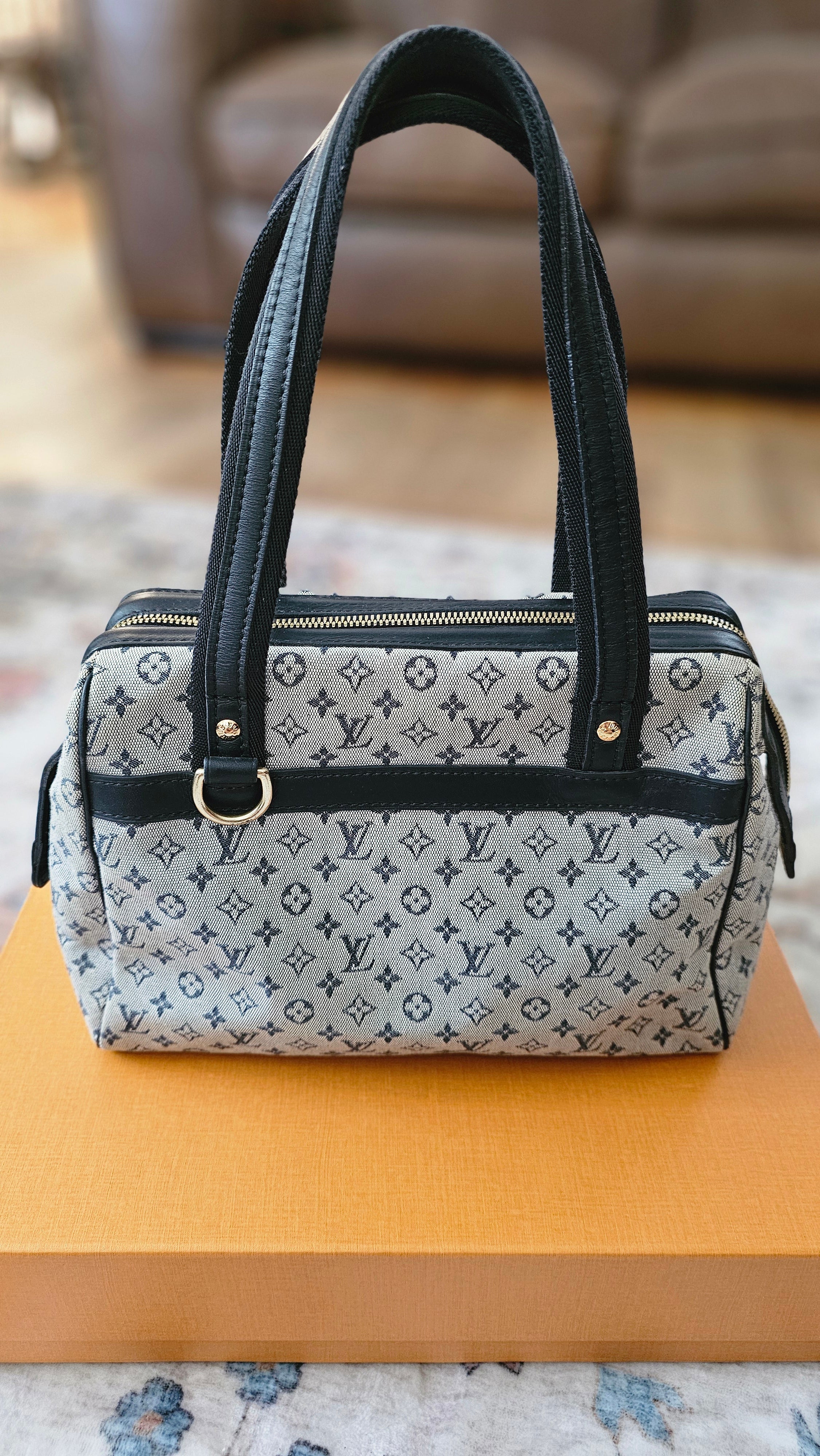 Louis Vuitton Jospehine PM