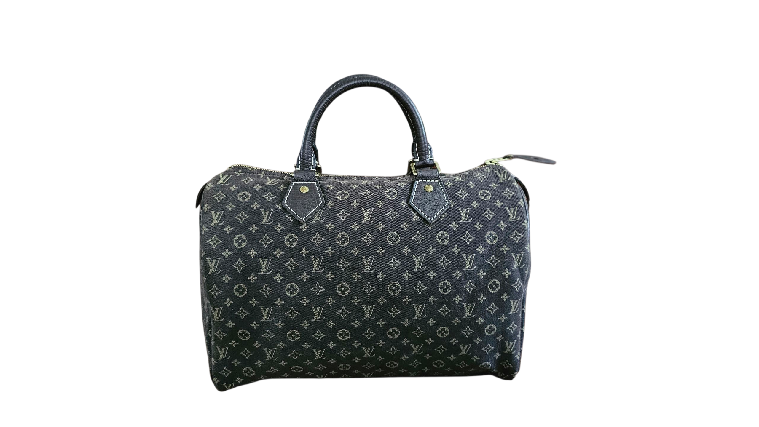 Louis Vuitton Mini Lin Speedy 30 Limited Edition