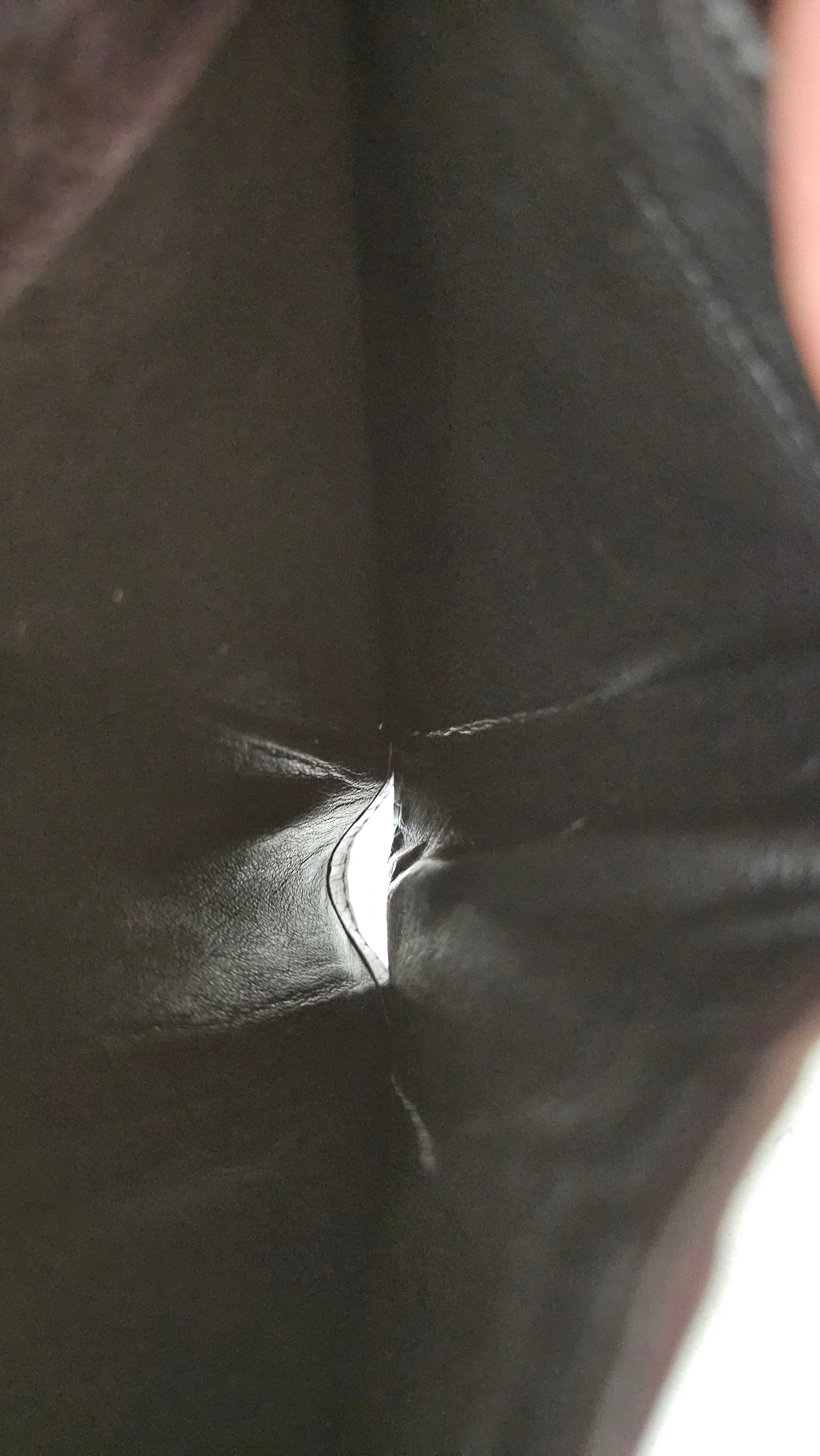 Gucci Supreme Monogram Coated Canvas Wallet