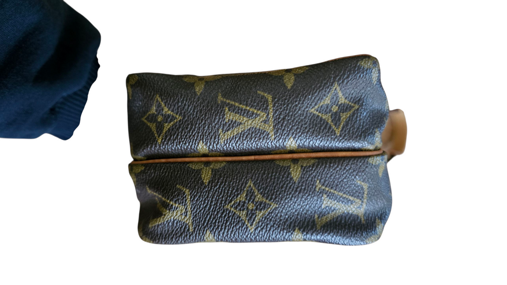 Louis Vuitton Mini Amazon