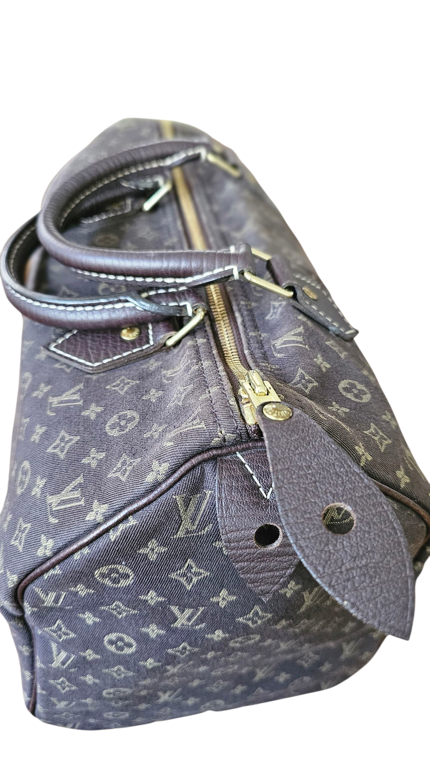 Louis Vuitton Mini Lin Speedy 30 Limited Edition
