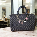 Louis Vuitton Mini Lin Speedy 30 Limited Edition