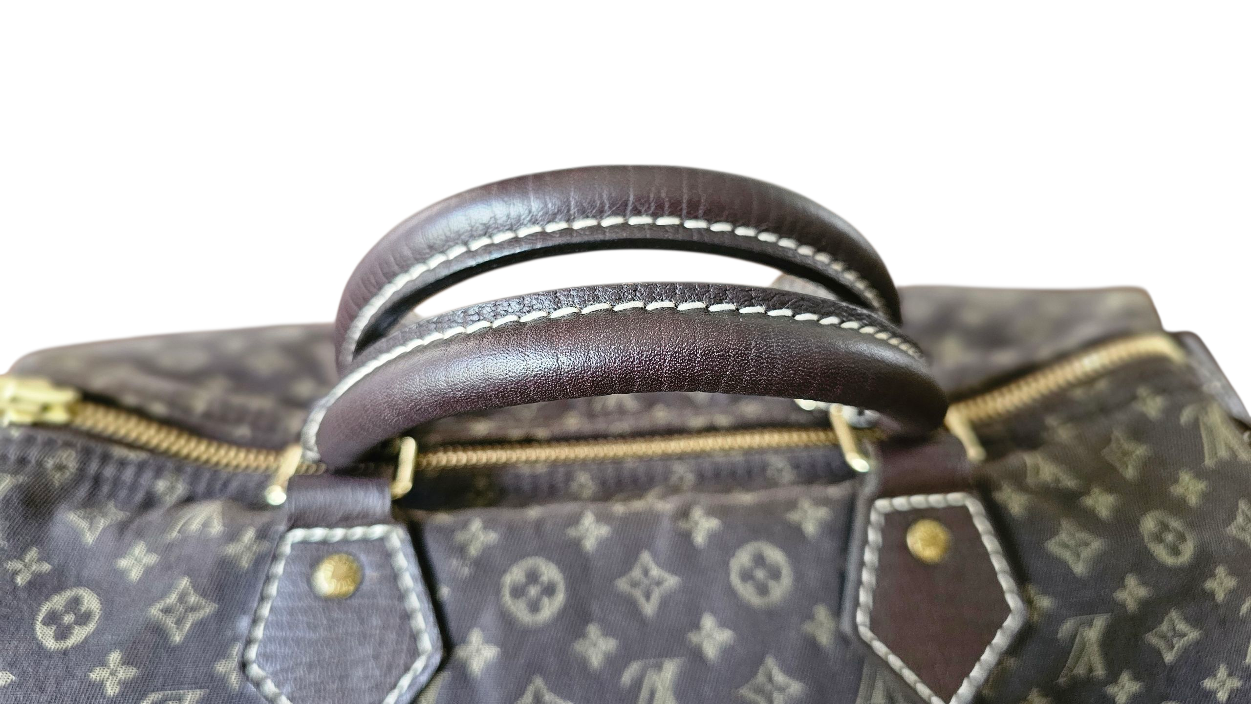 Louis Vuitton Mini Lin Speedy 30 Limited Edition