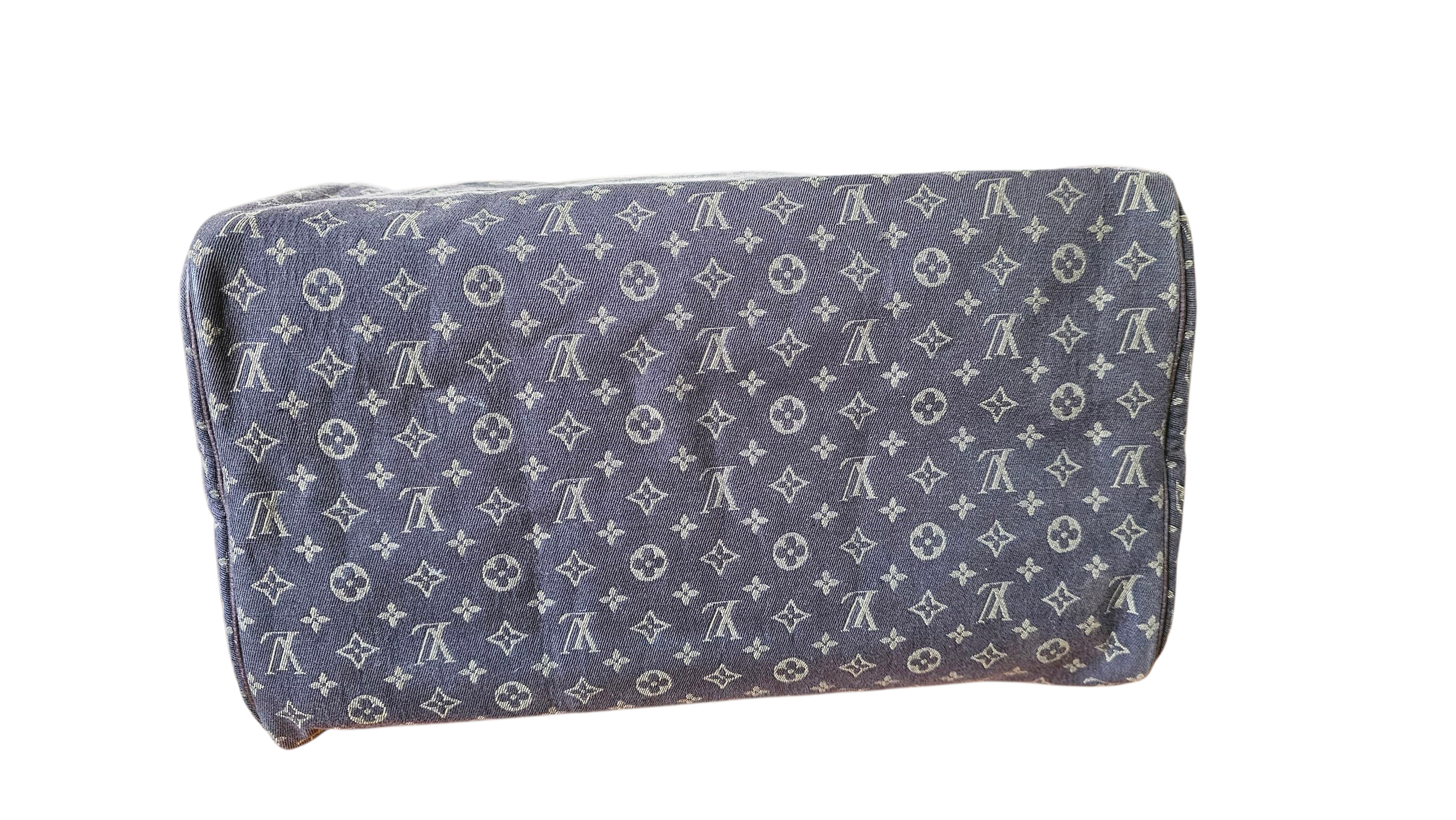 Louis Vuitton Mini Lin Speedy 30 Limited Edition